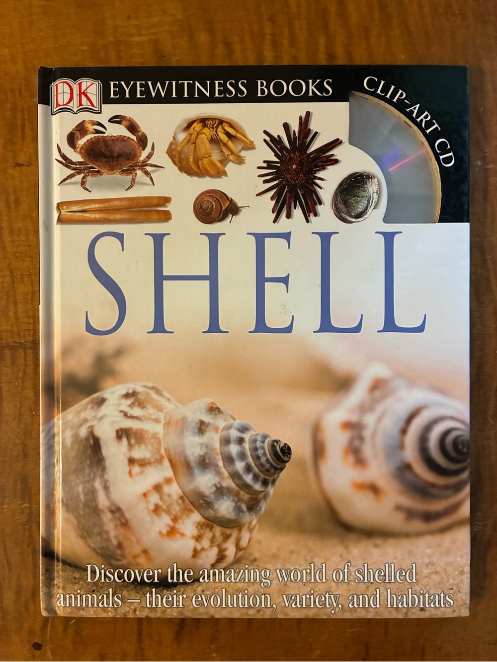 Discovery Guide Hardcover Book: "Shells”